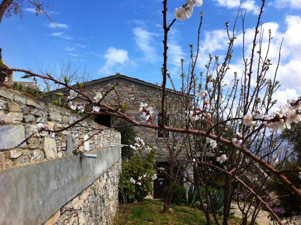 Pyrgos Traditional Village Ágios Kírykos エクステリア 写真