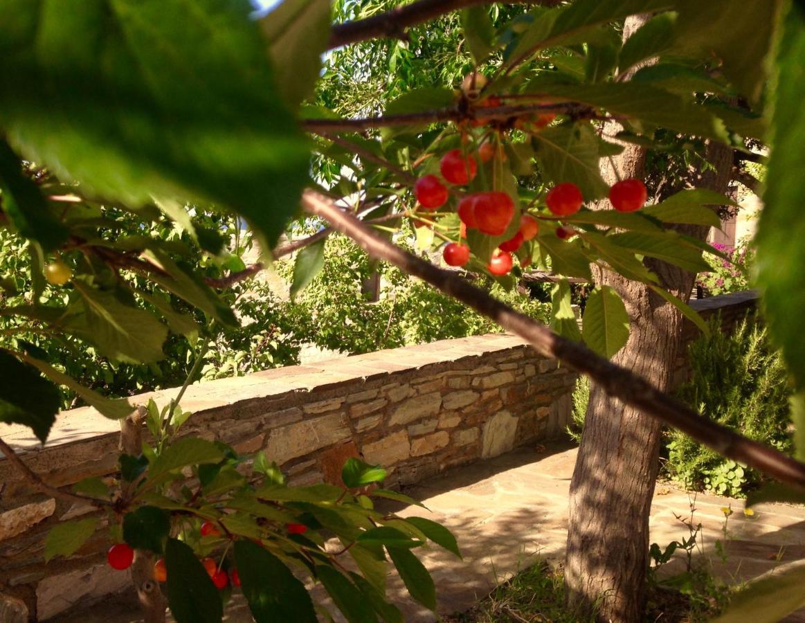 Pyrgos Traditional Village Ágios Kírykos エクステリア 写真